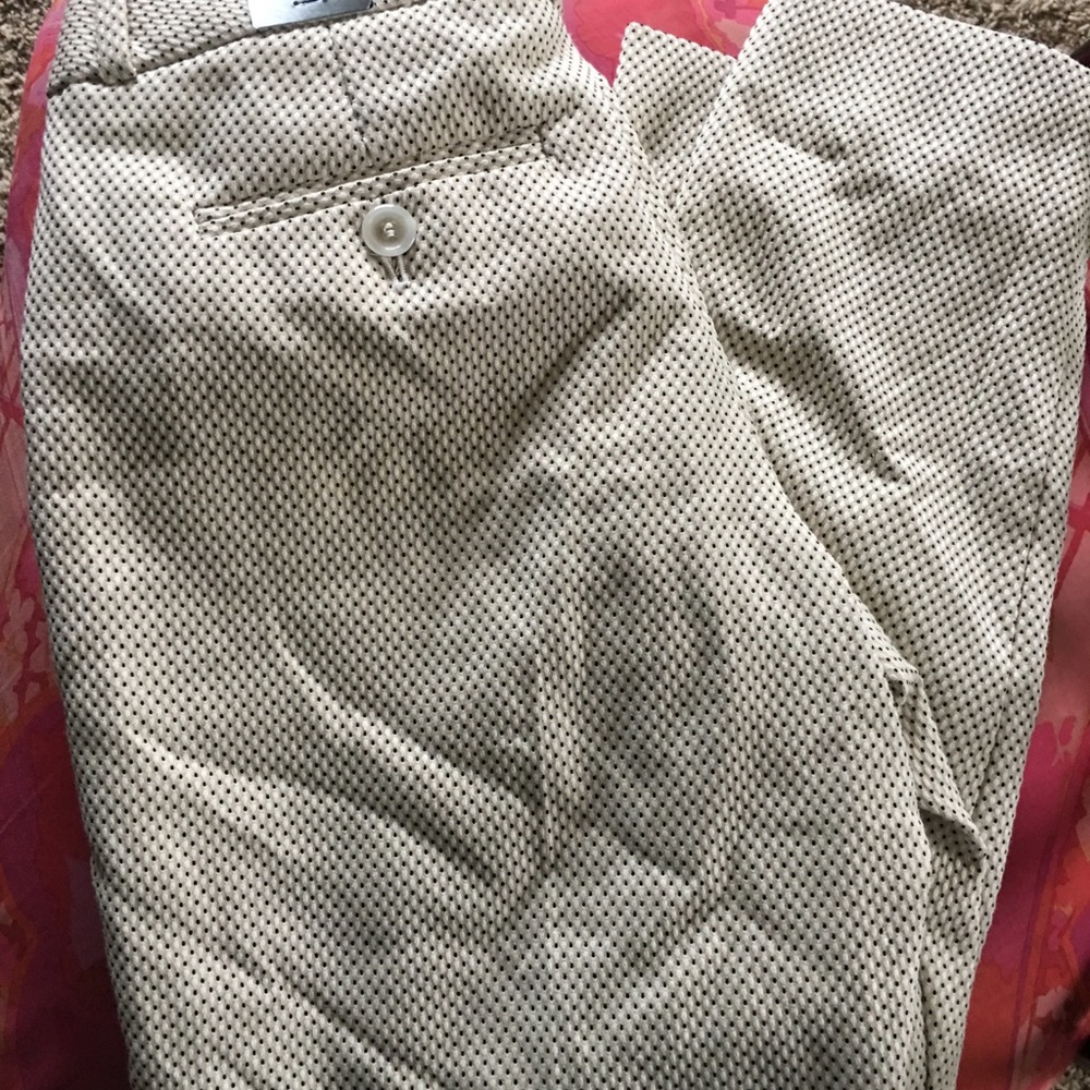 The Limited Pencil Pants